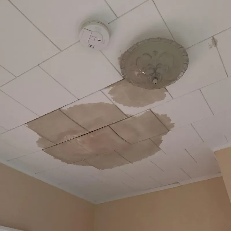 Ceiling Water Damage Repair in Mountain Road, VA