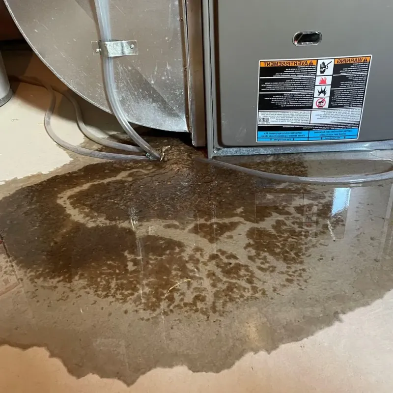 Pipe Burst and Leak Restoration in Mountain Road, VA