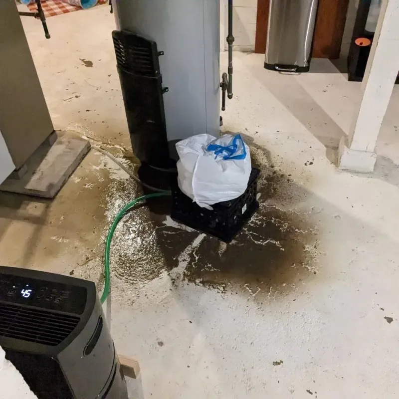 Sewage Backup Cleanup Service in Mountain Road, VA